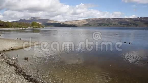 苏格兰洛蒙德湖英国Trossachs国家公园在平静的一天鸭子和山是受欢迎的苏格兰旅游目的地视频的预览图