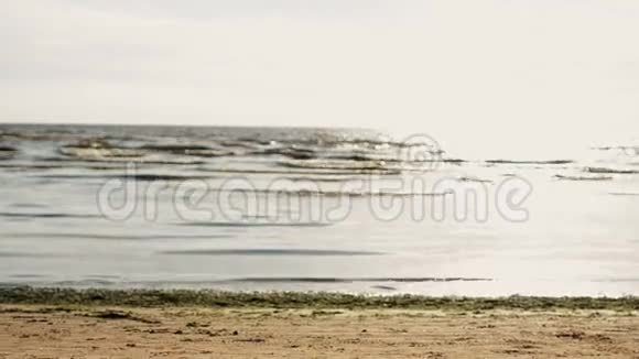 年轻人在镜头前的海滩上做翻转波浪海洋夏季阳光明媚视频的预览图