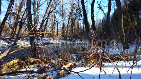 冬天的雪岸河冰冷的水流着河边的雪周围环绕着美丽的树木视频的预览图