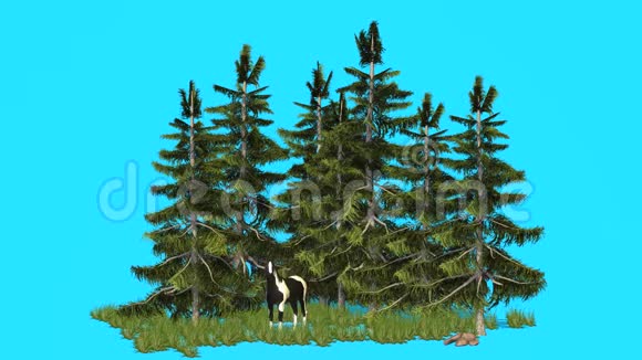 3种种马在树林中的渲染视频的预览图