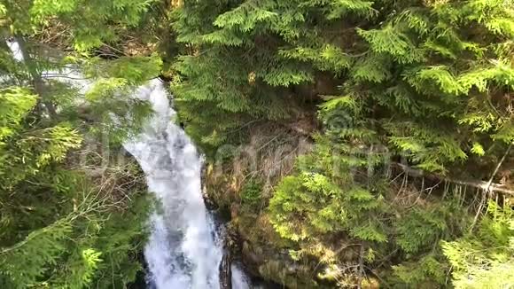 森林瀑布空中景观视频的预览图