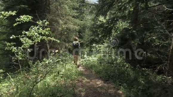 年轻的女孩走在山林与巴克普克乔治亚国家公园视频的预览图