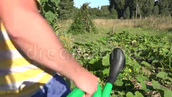 在夏季干旱时男童用浇水罐在花园西葫芦蔬菜上浇水4K视频的预览图