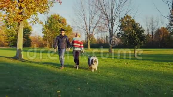 第40对夫妇在秋天公园和一只狗散步视频的预览图