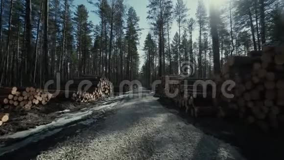 伐木工人伐木工人在森林道路上工作视频的预览图
