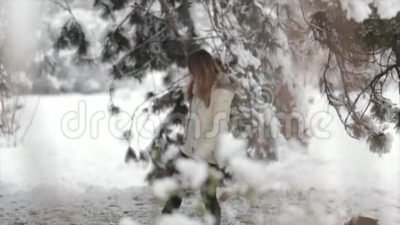 雪林中的女孩很多雪视频的预览图