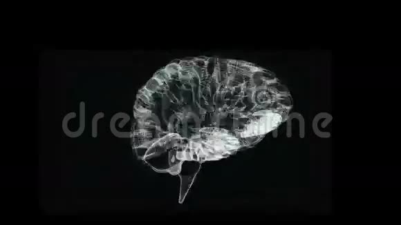 旋转透明的人脑图形视频的预览图