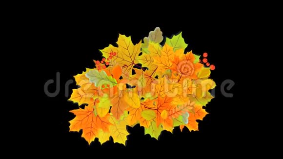 秋天的叶子在一堆里燃烧着黄色动画视频的叶子在阿尔法通道孤立透明的背景上视频的预览图