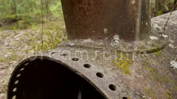 泰加森林的老式蒸汽机视频的预览图
