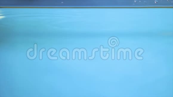 蓝色背景透明水中的花视频的预览图