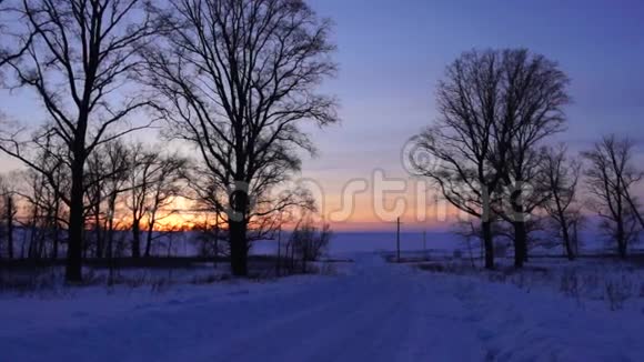 冬天的路树日落视频的预览图