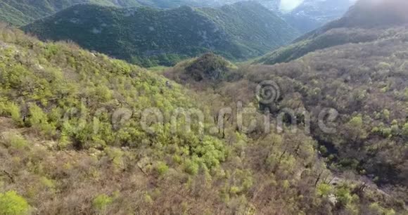 空中直升机拍摄高山上一片未被触及的森林视频的预览图