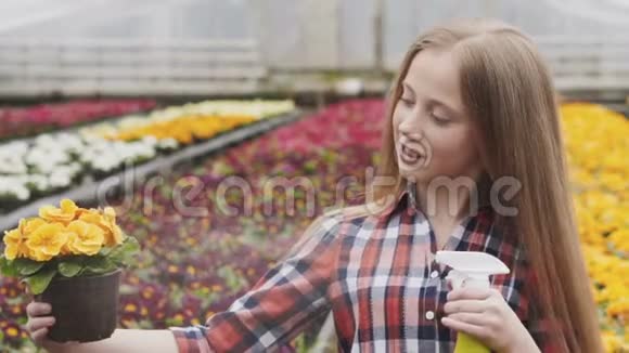 快乐的漂亮女孩在温室里喷洒花盆慢慢地视频的预览图