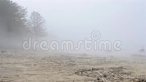 浓雾弥漫在芬兰海湾的沙滩上视频的预览图
