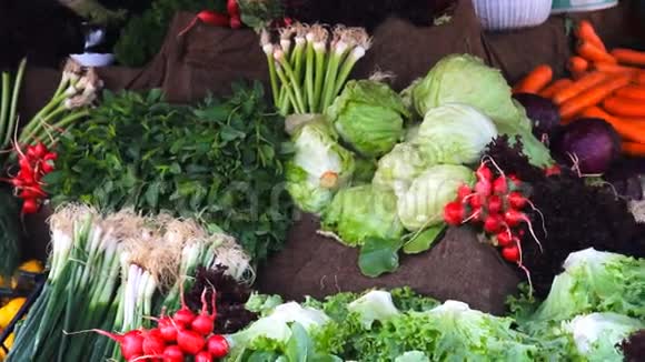 伊斯坦布尔新鲜健康生物茴香和胡萝卜视频的预览图