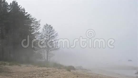 浓雾弥漫在芬兰海湾的沙滩上视频的预览图