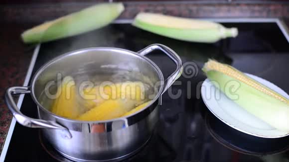 玉米在炉子上的锅里煮视频的预览图
