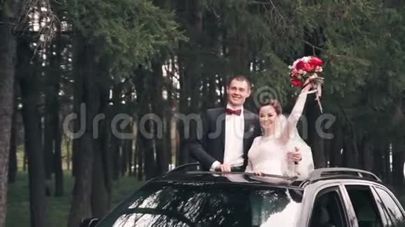 在松树林背景下的夏季公园里的新婚夫妇视频的预览图