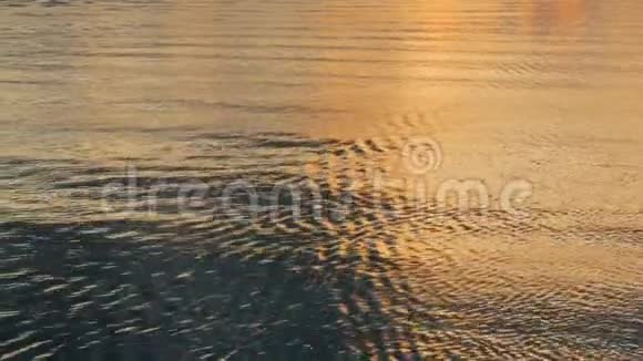 日落时的水面视频的预览图