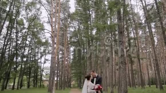 在松树林背景下的夏季公园里的新婚夫妇视频的预览图