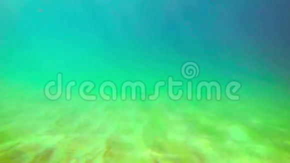 一个人在水底的沙质海底视频的预览图