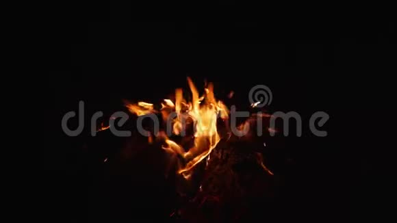 篝火火像可用于商业项目视频的预览图