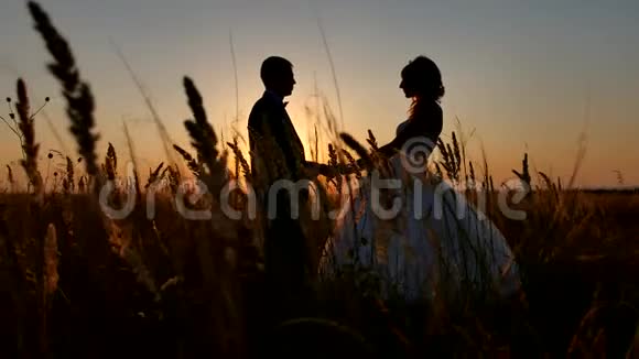 浪漫的婚礼年轻夫妇剪影日落时分的情侣男女剪影视频的预览图