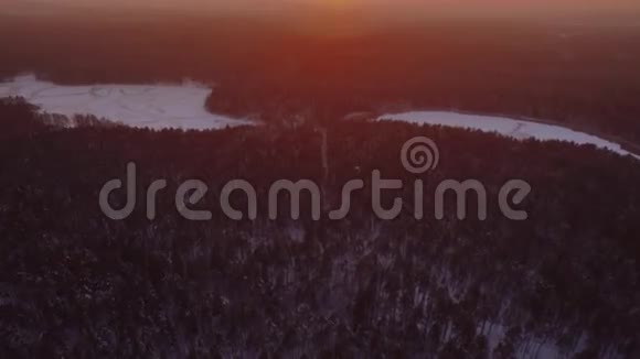在森林上空的日落景色视频的预览图