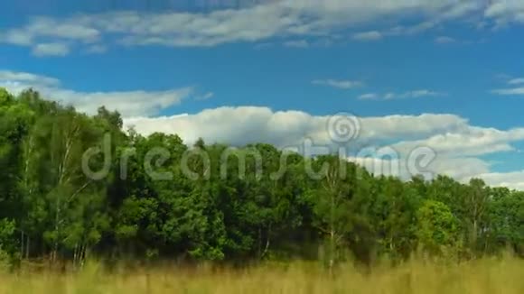 黄草树和云的时间流逝视频视频的预览图