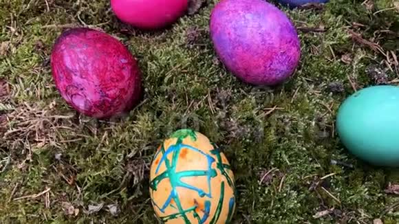 绿色苔藓中快乐的复活节彩蛋视频的预览图