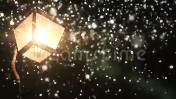 夜幕降临的冬日路灯视频的预览图
