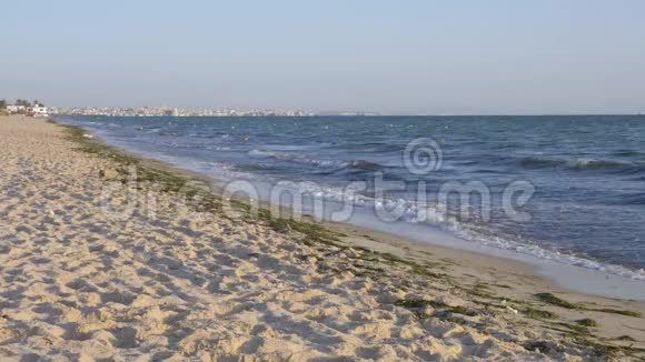 沙滩上美丽的风景海浪蓝色海洋景观和天际线视频的预览图