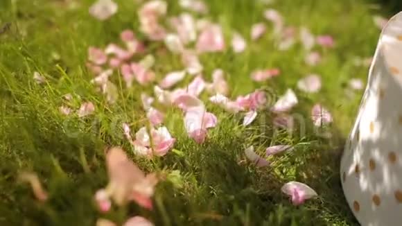 一个女孩在绿草上拍打玫瑰花瓣装饰节日的花朵视频的预览图