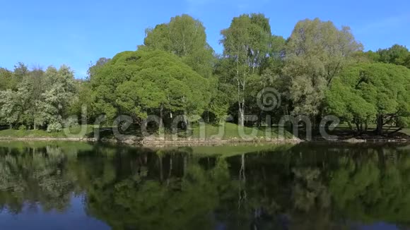 明亮的绿树倒映在镜湖里去哪都行背景视频的预览图