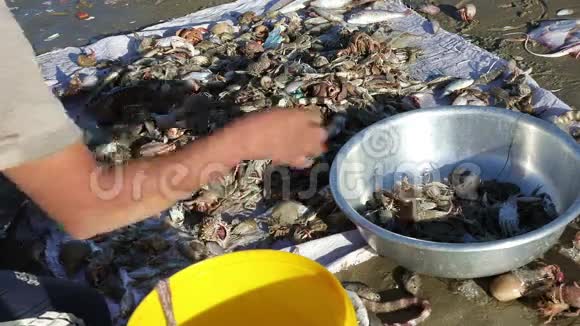 越南渔民品尝新鲜海鲜视频的预览图