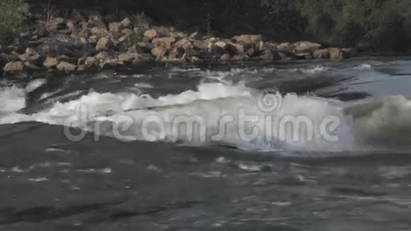 河流急流捕鱼视频的预览图