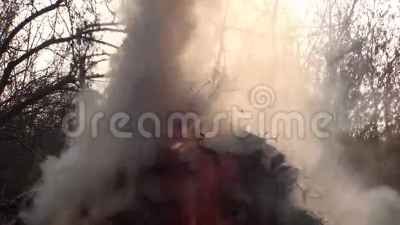 森林火灾燃烧和烟雾视频的预览图