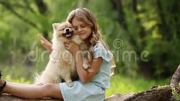 小女孩抚摸狗视频的预览图