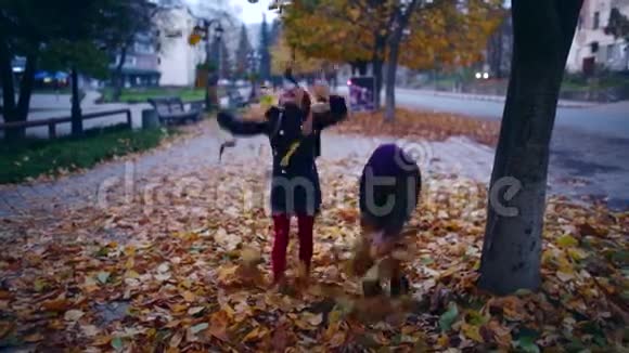 秋天的傍晚两个漂亮的小女孩在玩树叶视频的预览图