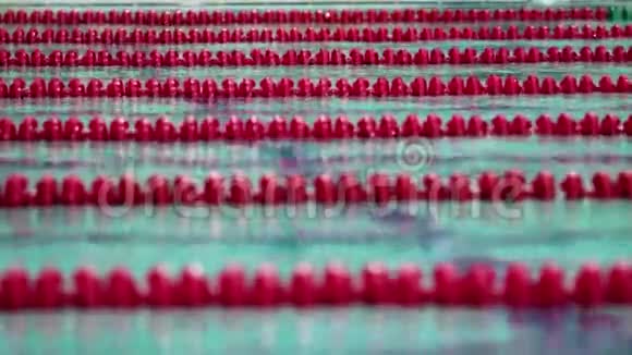 运动游泳自由泳视频的预览图