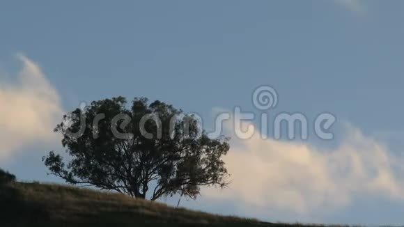 澳大利亚内陆的澳大利亚风景视频的预览图