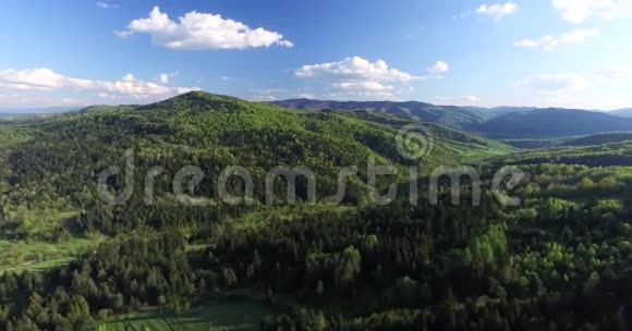 在山上的森林上方拍摄视频的预览图