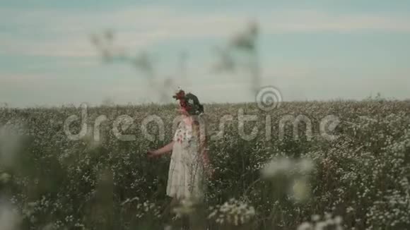 花圈的漂亮姑娘走在田野里开着田野的花视频的预览图