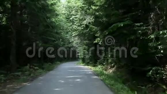 在穿过绿色森林的路上旅行视频的预览图