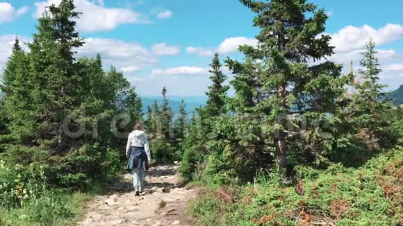 在阳光明媚的一天沿着小径徒步旅行朋友圈夏季冒险旅行在山区自然户外视频的预览图
