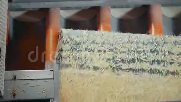 通心粉工厂生产线俯视图视频的预览图