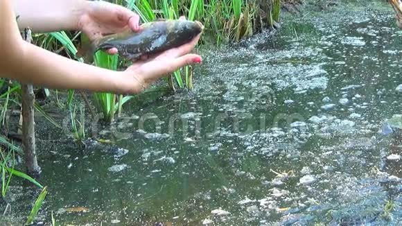 一个女孩把一条鱼放在河里让它走视频的预览图