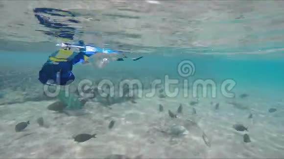 垃圾漂浮在红海的珊瑚礁上视频的预览图