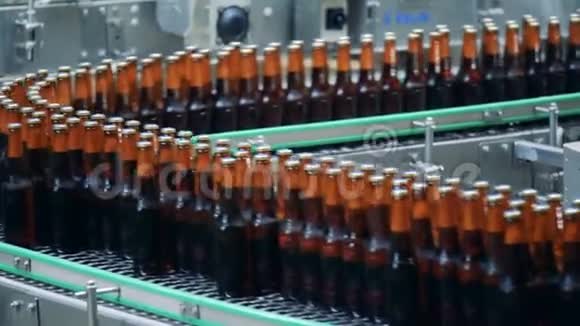 啤酒厂传送带上装满瓶子关闭视频的预览图