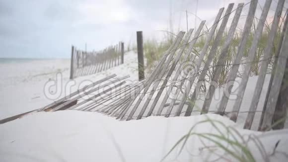 佛罗里达州彭萨科拉有绿叶和栅栏的海滩沙视频的预览图